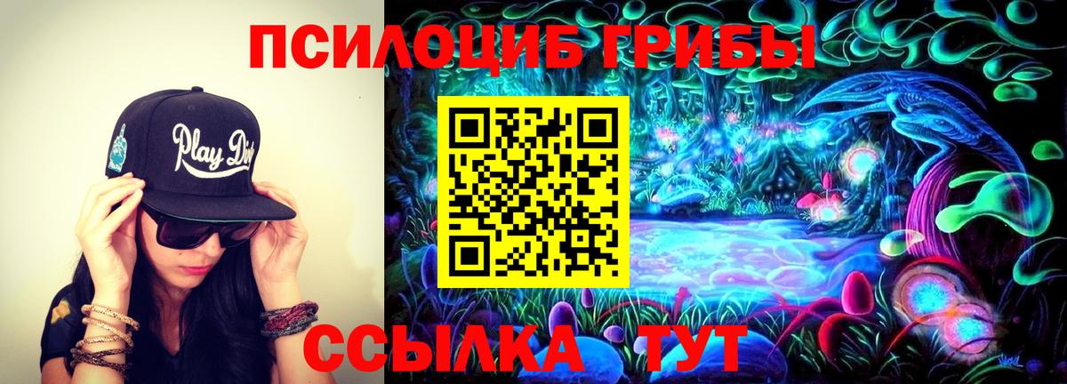 где купить   Псилоцибиновые грибы Psilocybine cubensis  Вход с VPN  Строитель 